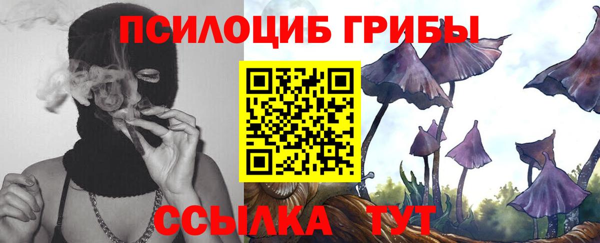 Псилоцибиновые грибы прущие грибы Котовск