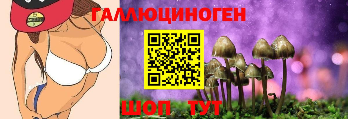Котовск  Псилоцибиновые грибы Cubensis  Вход с VPN  Псилоцибиновые грибы мухоморы 